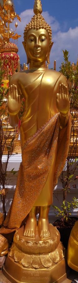 Buddhist monk standing