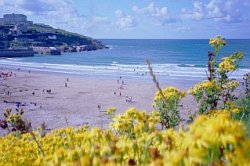 Accommodation in Tintagel